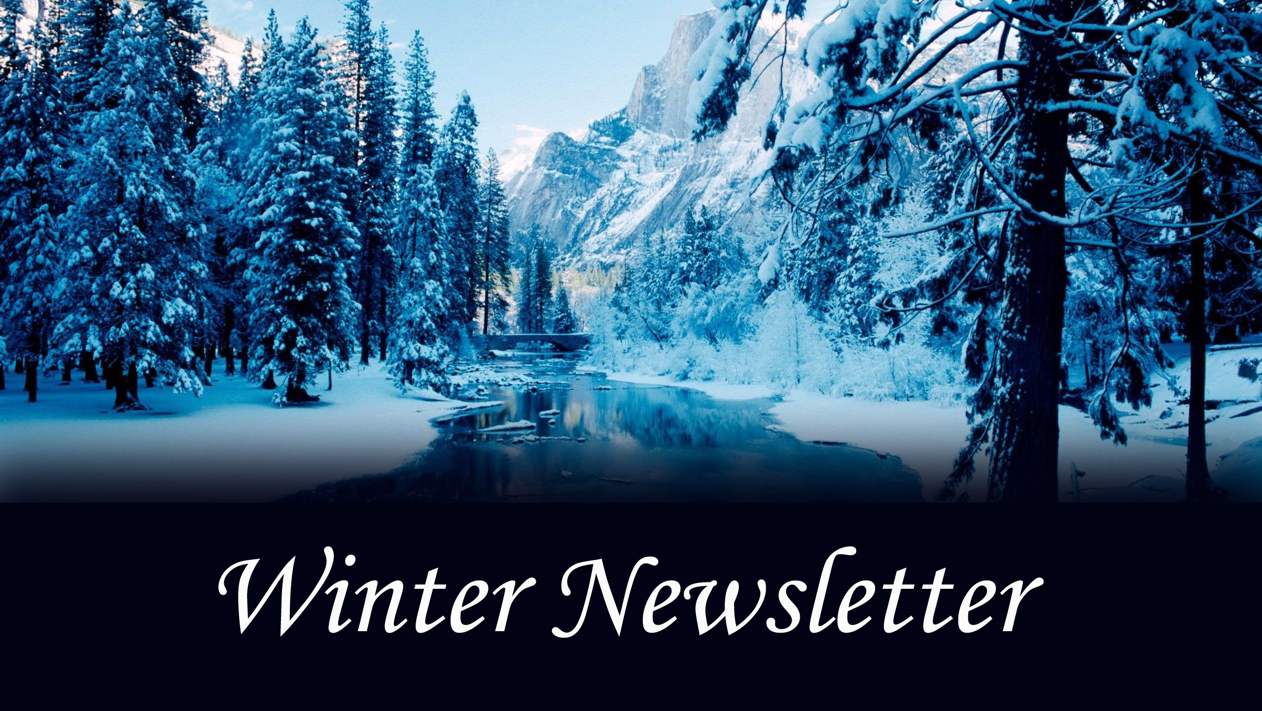 Winter Newsletter 2020 Image